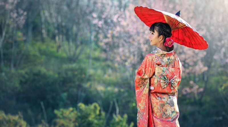 Japon : le mégaprojet ferroviaire à 500 km/h ne progresse pas
