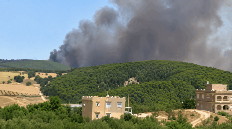 Kef : les opérations continuent pour maîtriser deux incendies