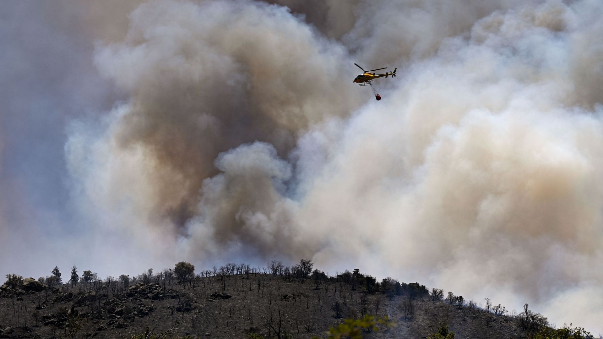 La 3e étape du Tour de France 2026 se déroulera "sans public" après incendie.