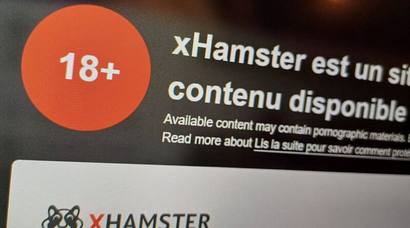 L'Arcom engage des actions contre une trentaine de sites pornographiques.