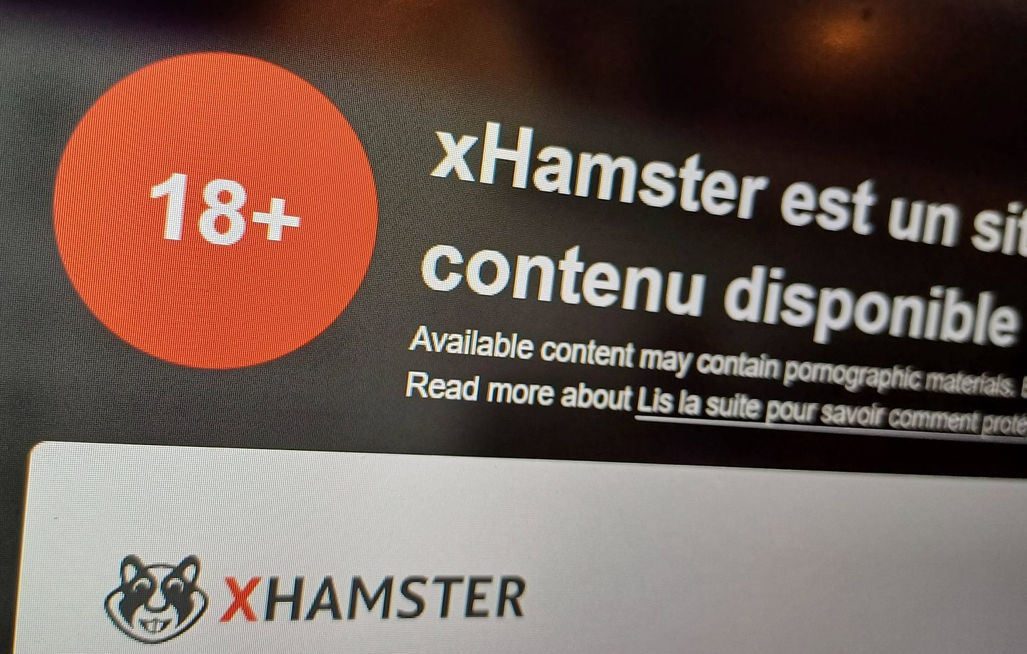 L'Arcom engage des actions contre une trentaine de sites pornographiques.