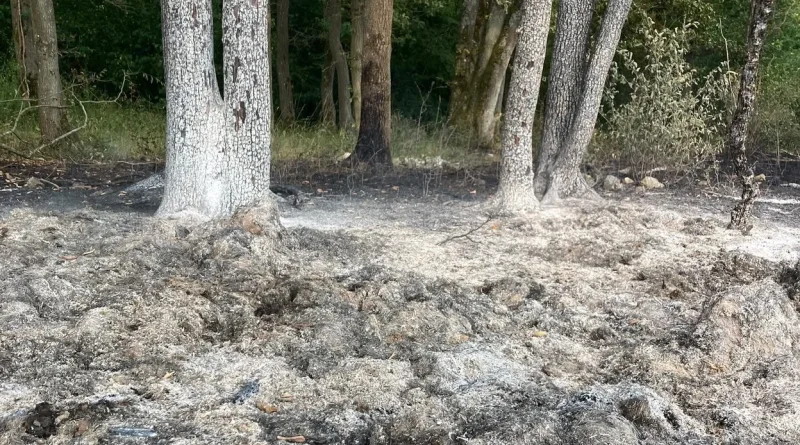 "Le lieutenant Liétart avertit : la pluie de dimanche ne changera rien après le troisième incendie"