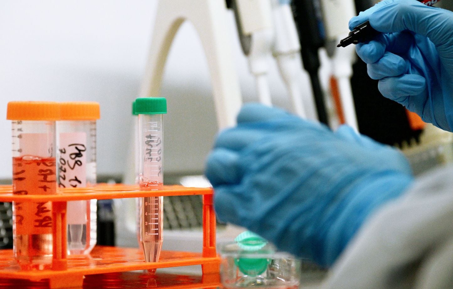 Les Etats-Unis limitent la recherche sur les virus, évoquant le Covid.