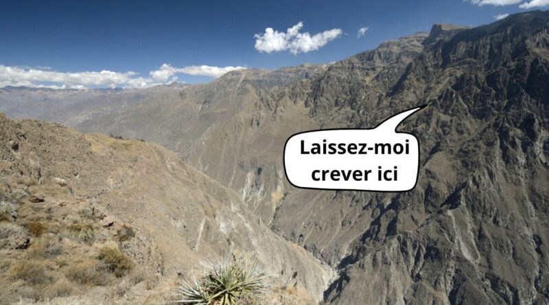 Les vacances de randonnée de Laura : cactus, soif et cheville abîmée.