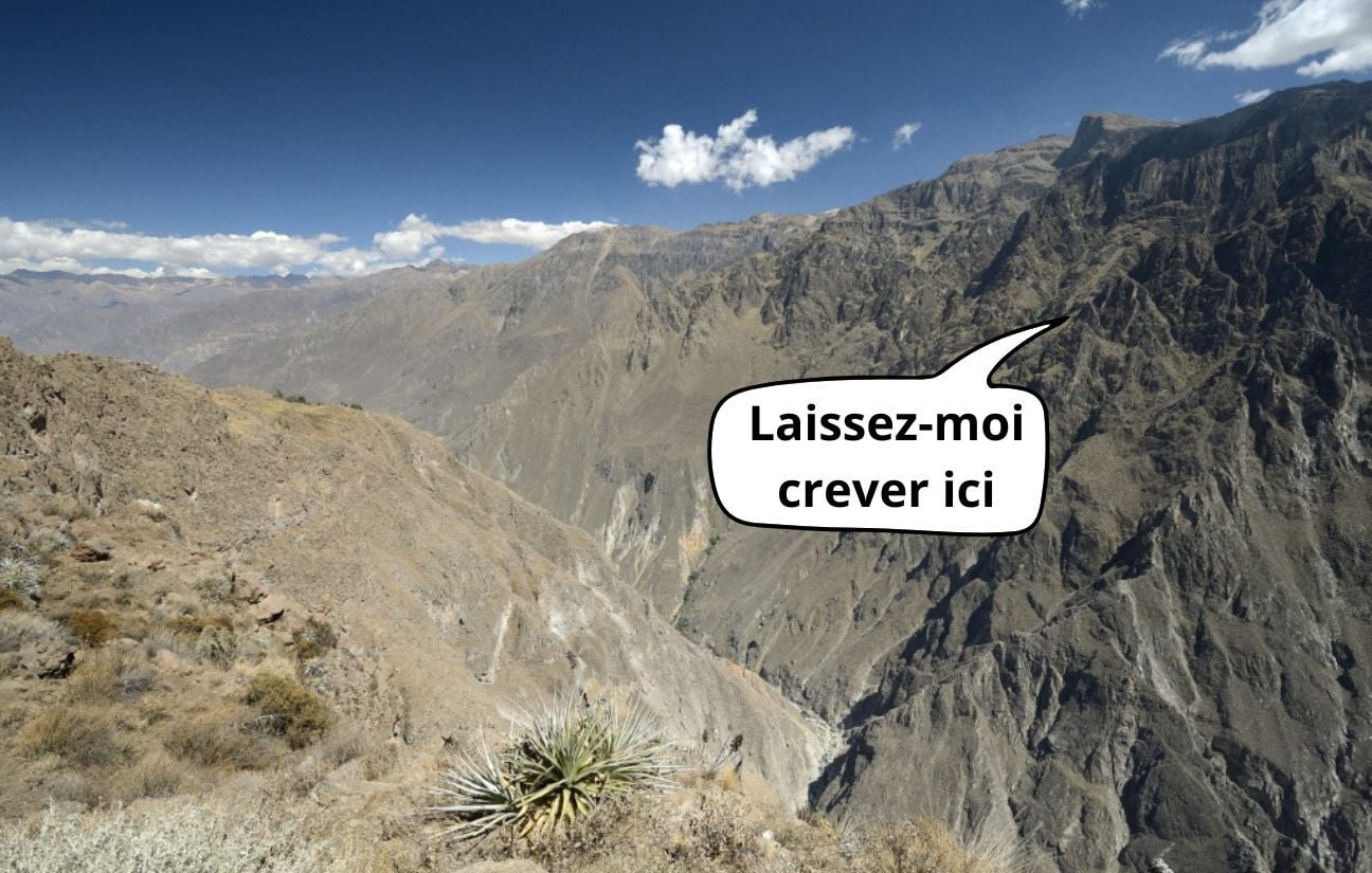 Les vacances de randonnée de Laura : cactus, soif et cheville abîmée.