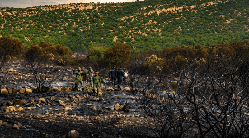 Lutte contre les incendies en Tunisie : 55 interventions de l’armée de l’air en 48 heures