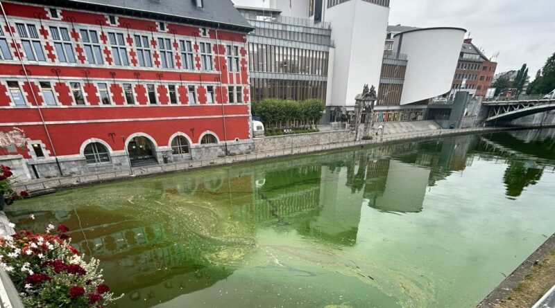 Namur : la Sambre est-elle devenue vert fluo ?