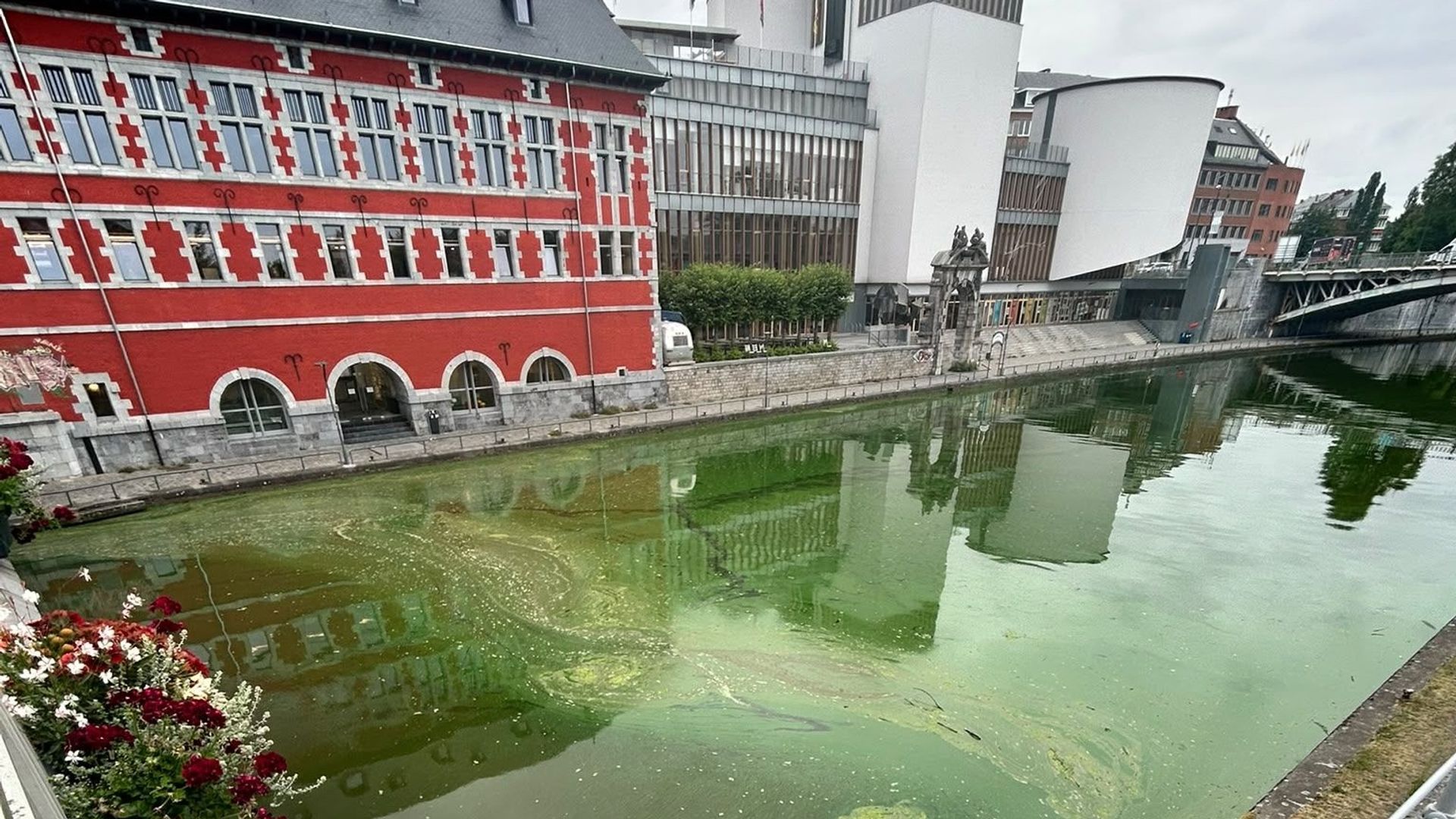 Namur : la Sambre est-elle devenue vert fluo ?