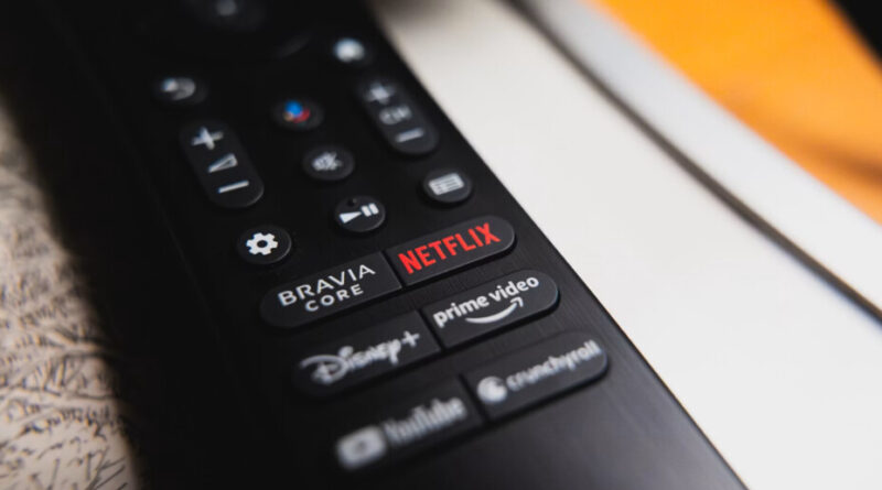 Netflix, Prime Video et Disney+ attaquent l'État français pour non-financement de l'animation