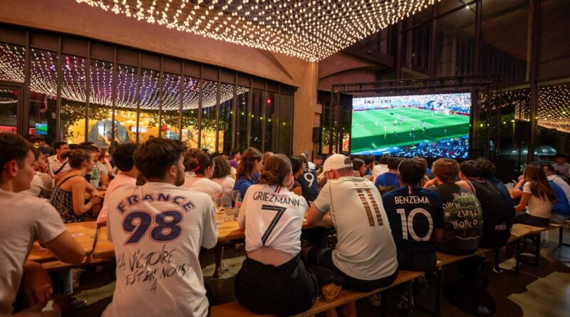 Paraguay - France : Record de plus de 12 millions de téléspectateurs à 23 heures