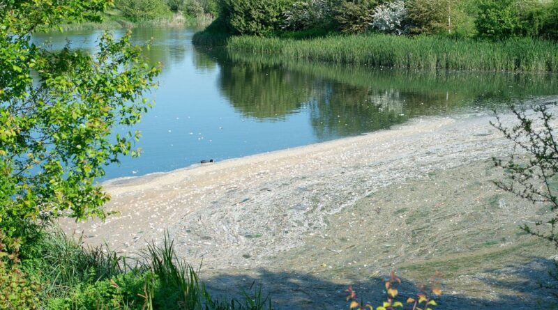 Pollution : La décontamination de l'eau potable des pesticides et PFAS coûterait 5,7 milliards d'euros par an