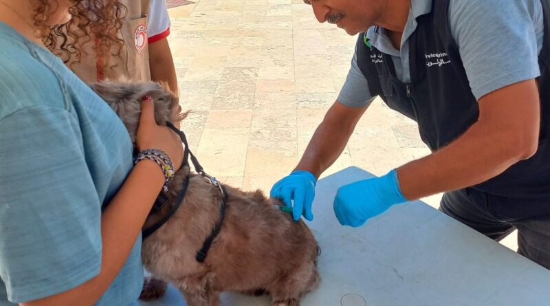 Rage animale : un fléau de retour menaçant la santé publique