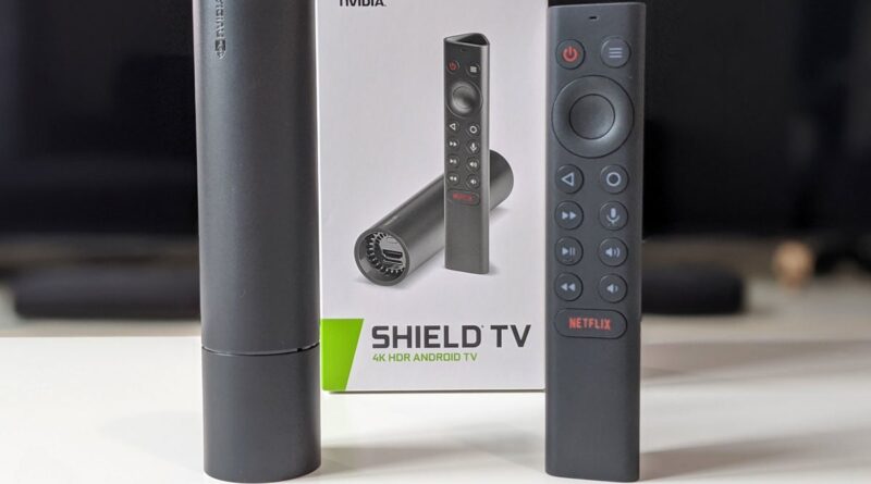 Rupture de stock généralisée : l'IA a-t-elle eu raison de la Nvidia Shield ?