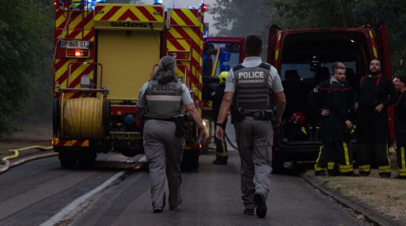 Six suspects arrêtés pour des feux de forêt à Fontainebleau.