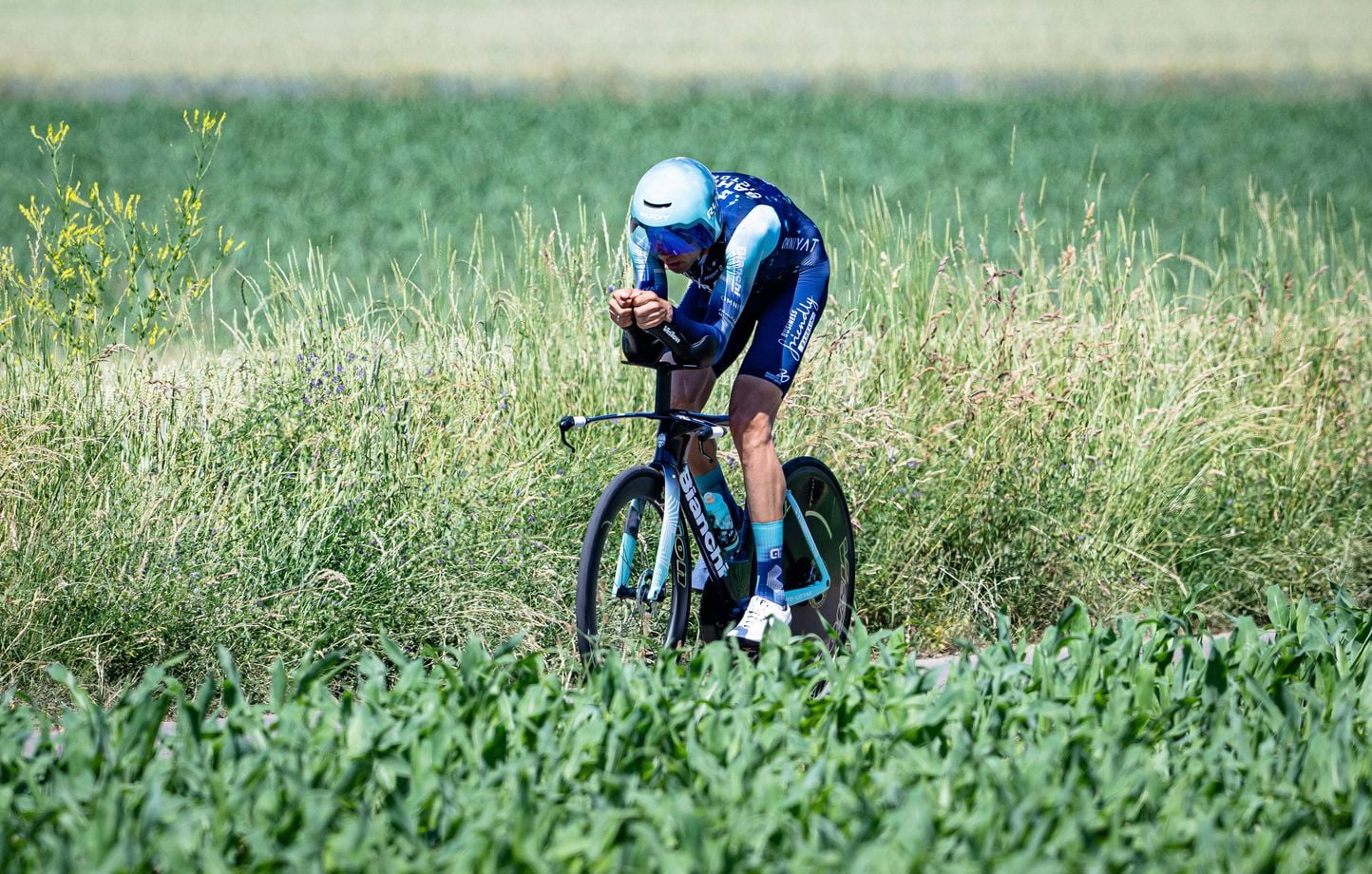 Tour de France 2026 : La direction recadre les spectateurs avec chiens après un accident évité.