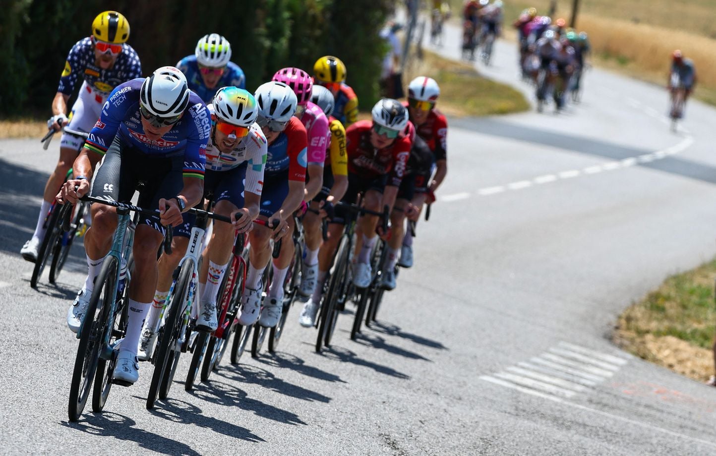 Tour de France : Van der Poel et Pidcock échappés, Pogacar vigilant – 9e étape en direct