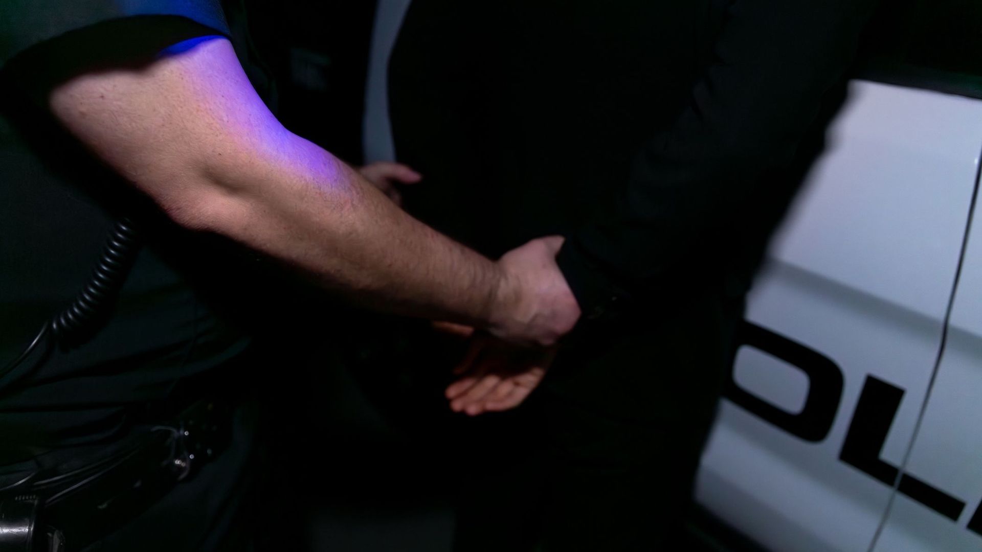 Turquie : 119 suspects de l'État islamique arrêtés lors d'un coup de filet