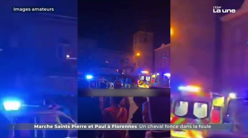 Un cheval blesse sept personnes à Florennes : débat sur la sécurité.