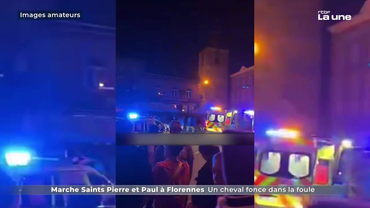 Un cheval blesse sept personnes à Florennes : débat sur la sécurité.
