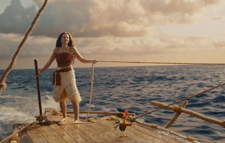 Un poulet et un demi-dieu ne laissent pas de place à Vaiana.
