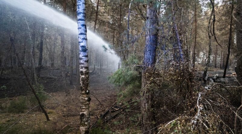 Var : Un incendie menace un village, des dizaines d'habitations évacuées