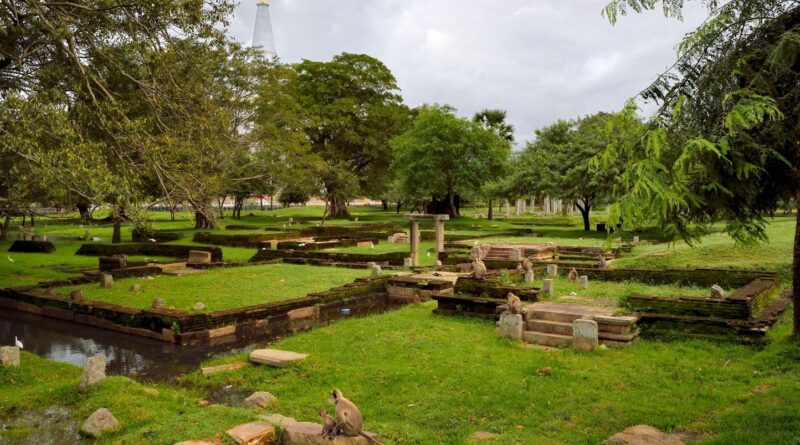 17 statues de Bouddha en or découvertes sur un site vieux de 2000 ans au Sri Lanka