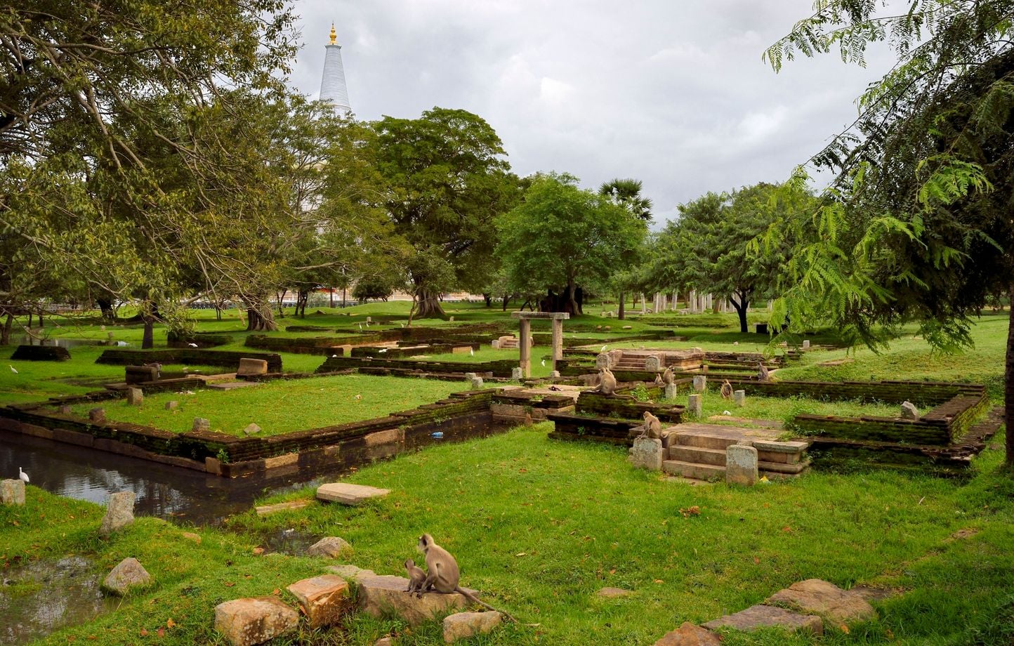 17 statues de Bouddha en or découvertes sur un site vieux de 2000 ans au Sri Lanka