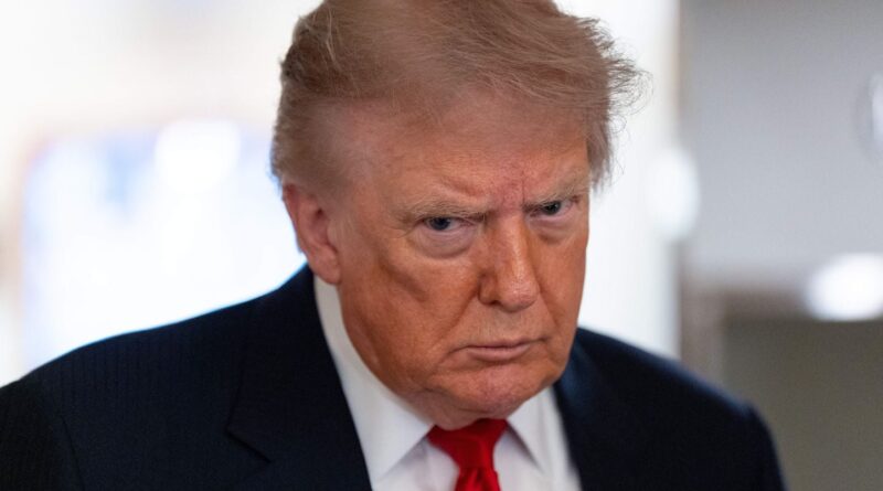 25 Etats démocrates et républicains des Etats-Unis contestent les droits de douane de Donald Trump.