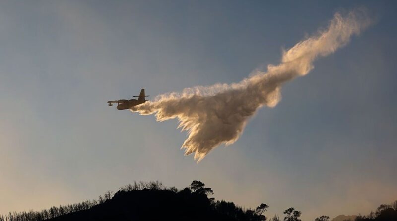 39 feux de forêt en quelques heures : la Grèce confrontée aux incendies et à une chaleur extrême