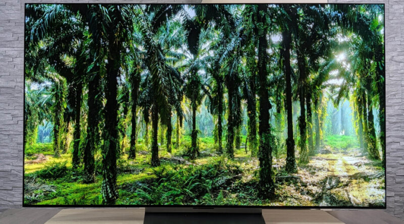 5 recommandations pour choisir la TV idéale pour les événements sportifs