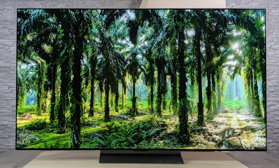 5 recommandations pour choisir la TV idéale pour les événements sportifs