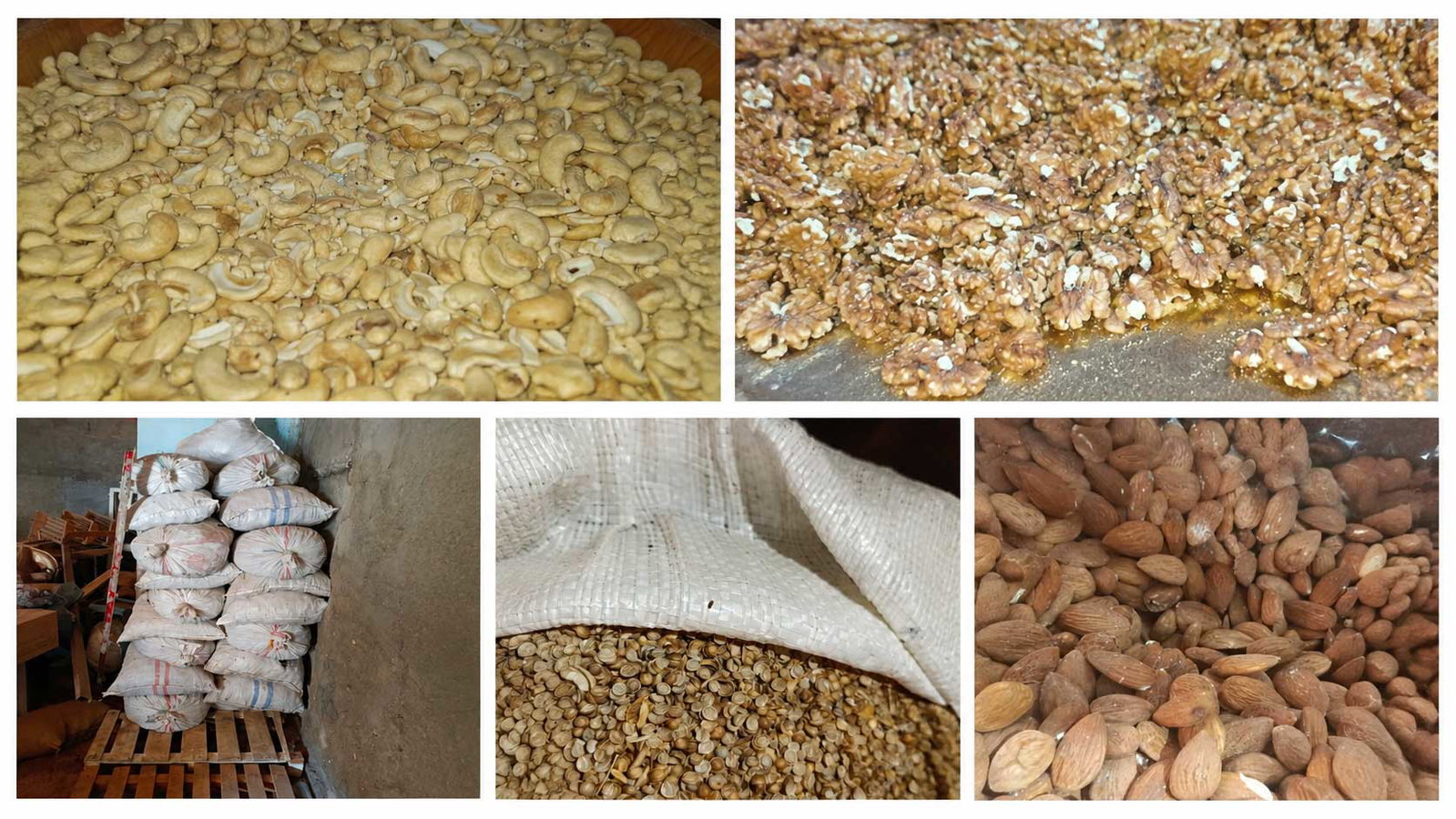 À l’approche du Mouled, 86 tonnes de produits alimentaires impropres saisies