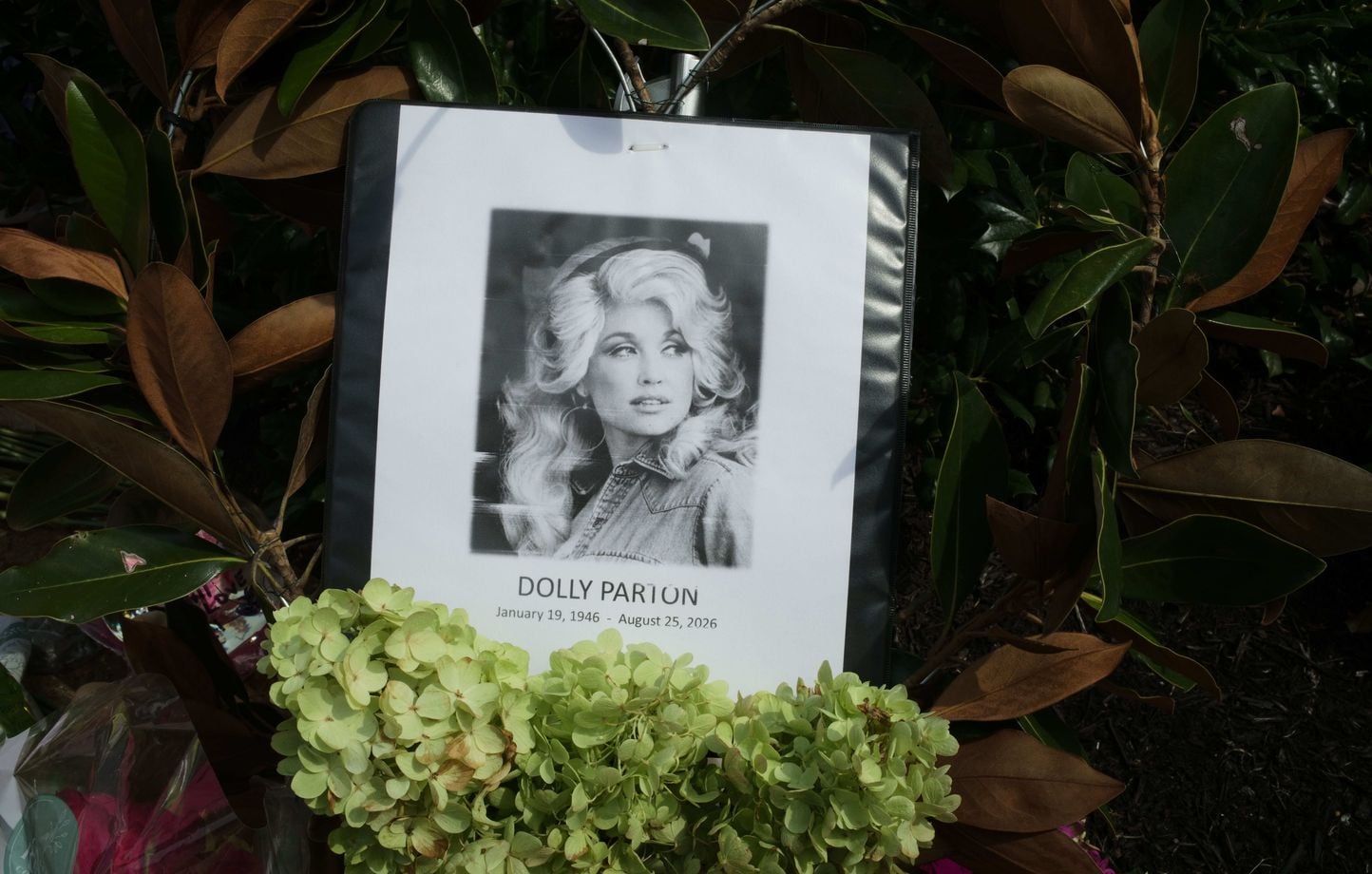 « A Rock en Seine, les fans rendent hommage à Dolly Parton »