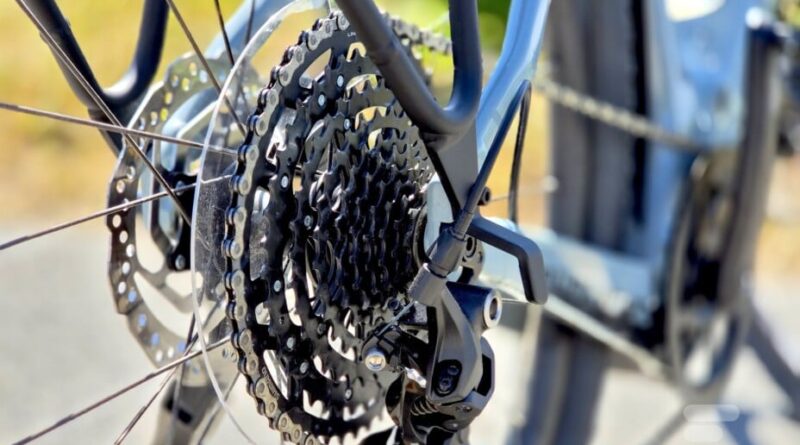 À vélo en Champagne avec le gravel électrique Moustache, mon destrier idéal.