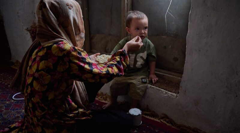 Afghanistan : Un million d'enfants risquent de mourir de malnutrition