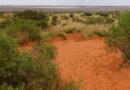 Australie : « Traumatisme supplémentaire » après l’annonce de la vie de leur fille malgré la découverte de son corps