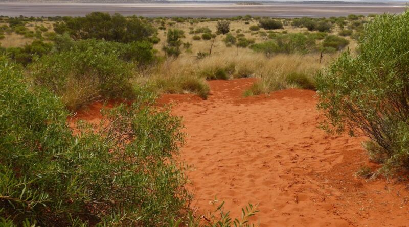 Australie : « Traumatisme supplémentaire » après l’annonce de la vie de leur fille malgré la découverte de son corps