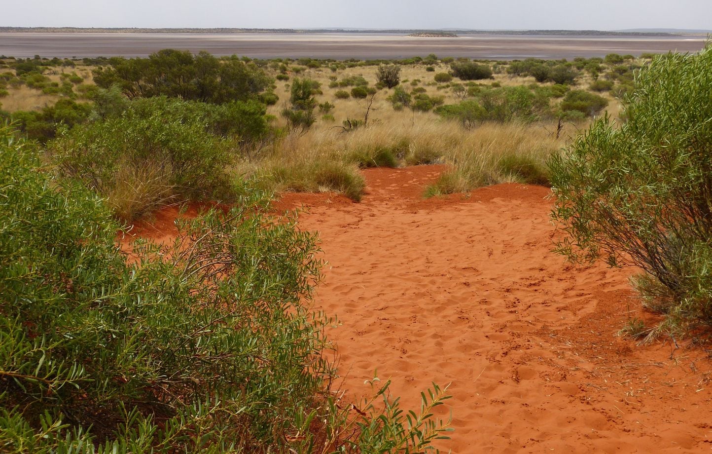 Australie : « Traumatisme supplémentaire » après l’annonce de la vie de leur fille malgré la découverte de son corps