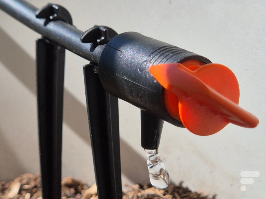 Automatisez et connectez l’arrosage de vos plantes avant vos vacances.