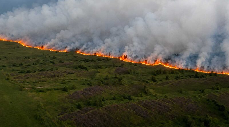 Belgique : 3.000 hectares ravagés par le plus grand incendie de forêt en un siècle encerclé