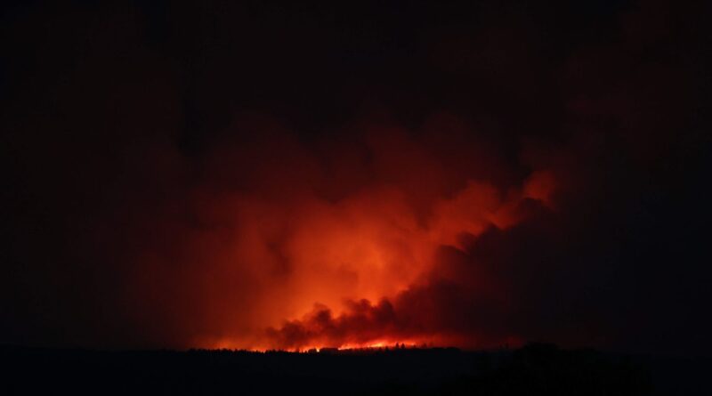 Belgique : Un incendie ravage 1.650 hectares de forêt