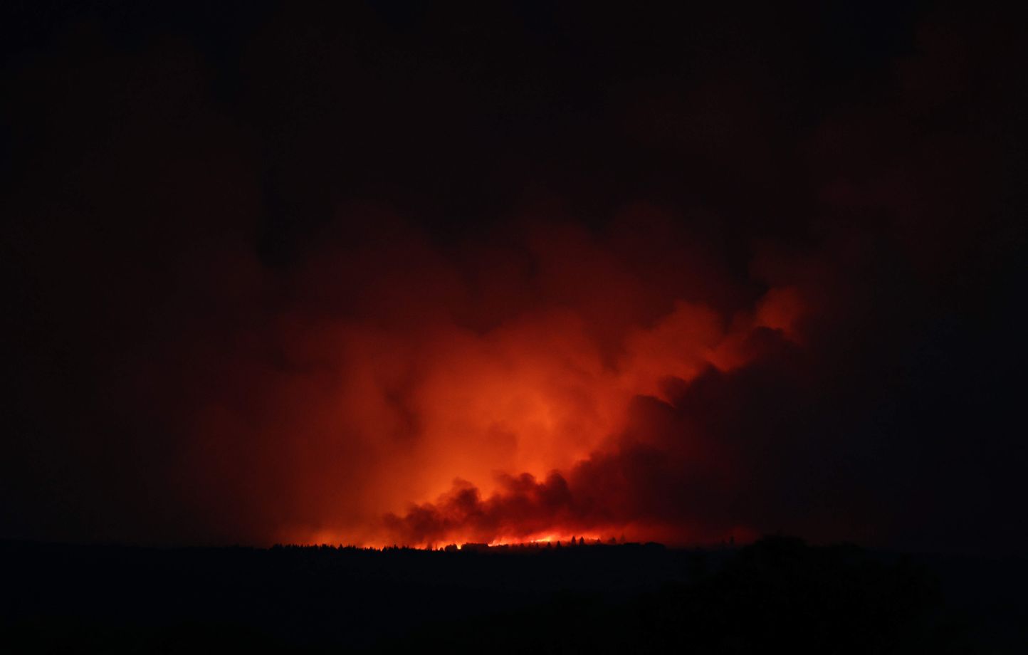 Belgique : Un incendie ravage 1.650 hectares de forêt