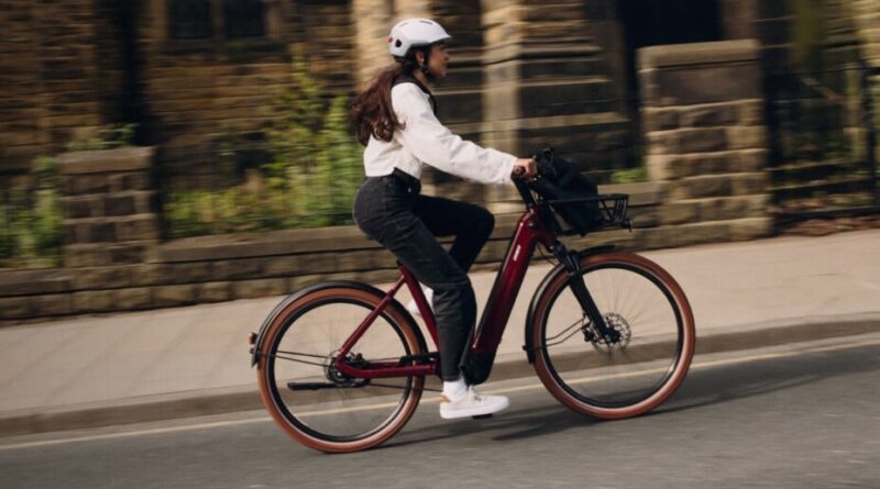 Bénéfices en hausse de 234 % : le géant du vélo Giant fait un retour spectaculaire