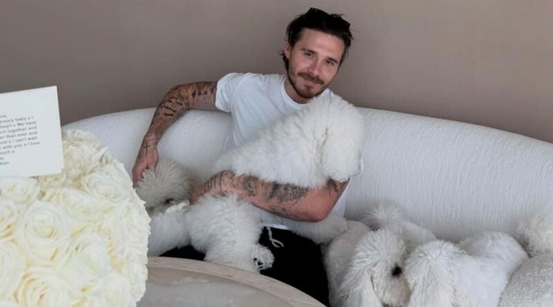 Brooklyn Beckham défend Nicola Peltz contre les critiques sur son physique.
