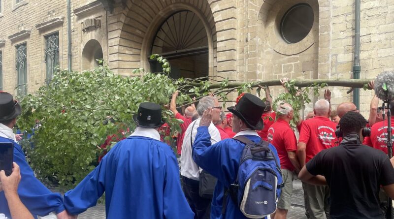 Bruxelles célèbre la 718e plantation du Meyboom devant curieux et fans de folklore