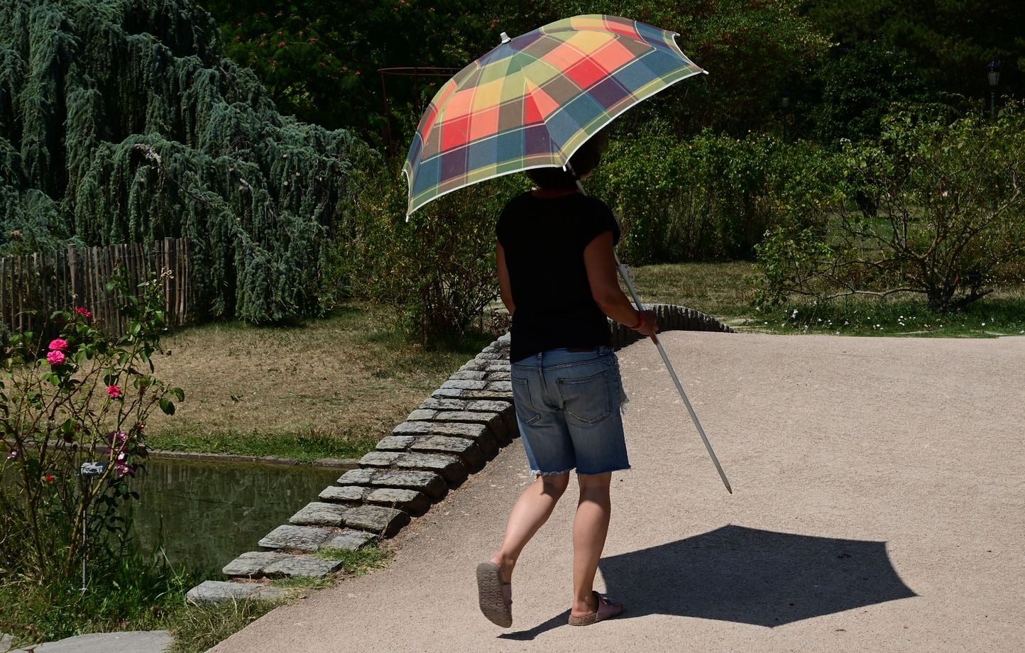 Canicule : 35 départements en vigilance orange mercredi prochain