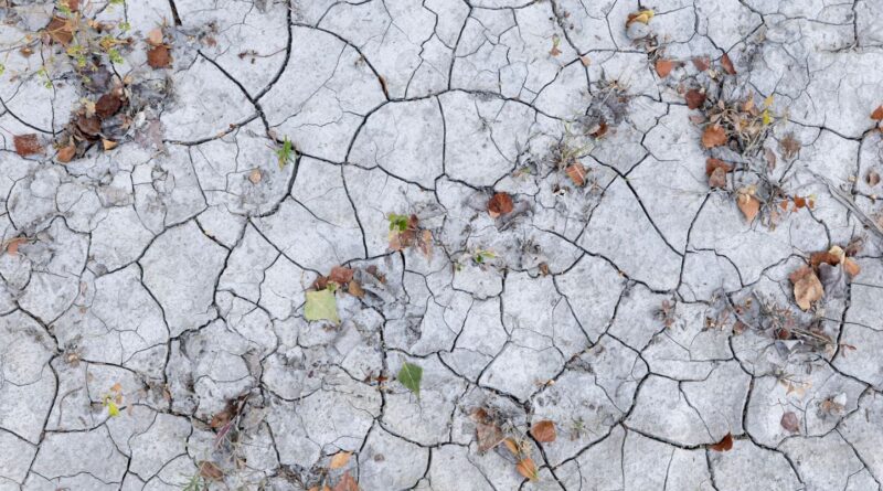 Canicule : Baisse progressive des températures samedi sur l'ouest du pays