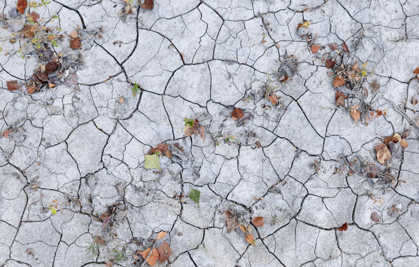 Canicule : Baisse progressive des températures samedi sur l'ouest du pays