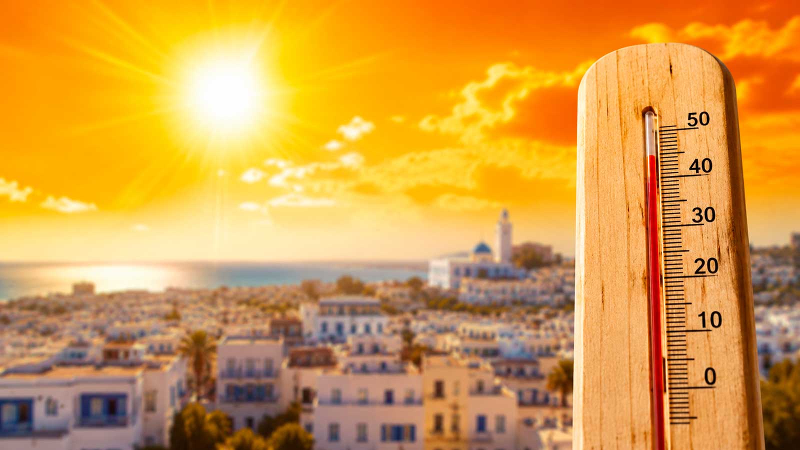 Canicule en Tunisie : ressenti de 51 °C prévu en régions côtières