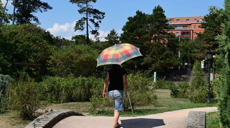 Canicule et restrictions sur l'eau potable touchent presque toute la France